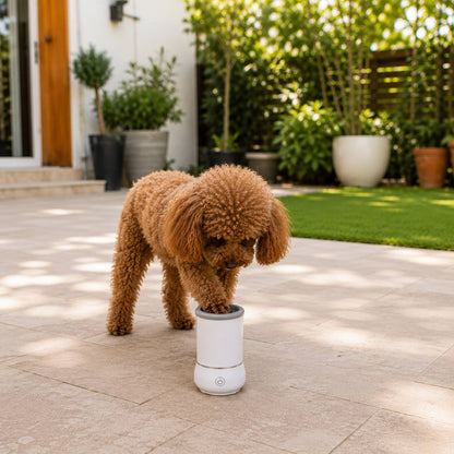 Pet Electric Foot Washer